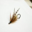 画像3: 【Aqua Flies】Hartwick's Brown Hilton Brown/Orange (3)