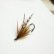 画像3: 【Aqua Flies】 Hartwick's Brown Hilton Brown/Orange (3)