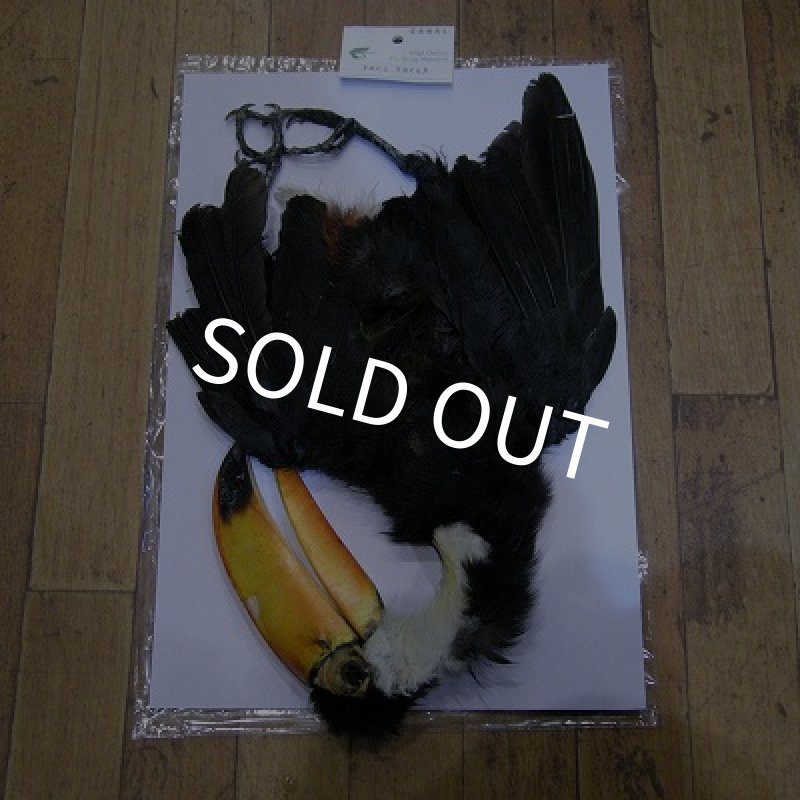 画像1: 【CANAL】 Toco Tocan コンプリート (1)