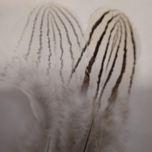 画像2: 【ANGLE】Silver Pheasant Body