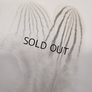 画像2: 【ANGLE】Silver Pheasant Body