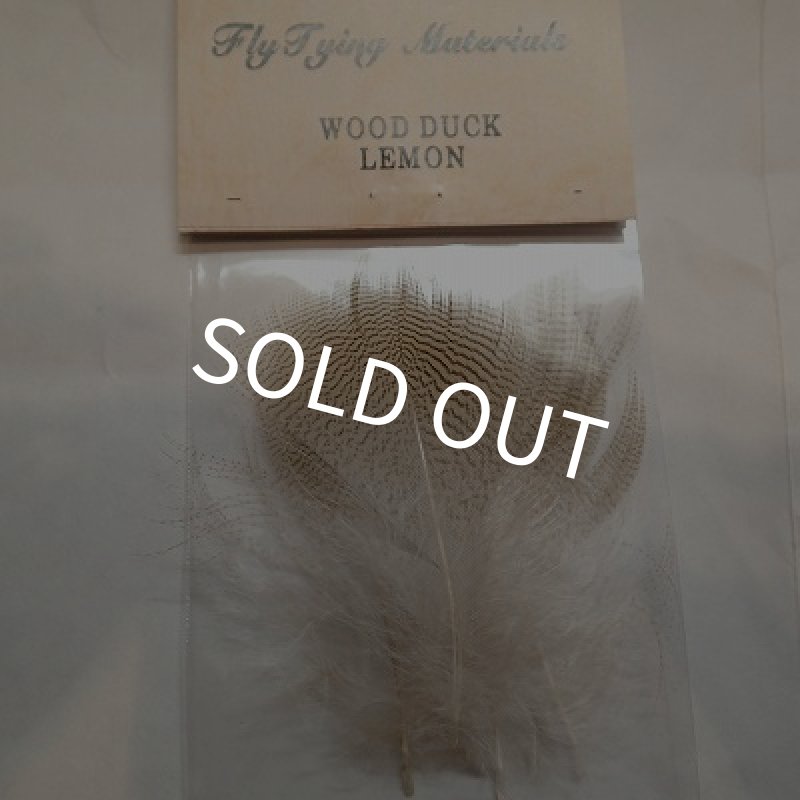 画像1: 【ANGLE】WOOD DUCK LEMON (1)