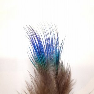 画像2: 【ANGLE】PEACOCK BLUENECK