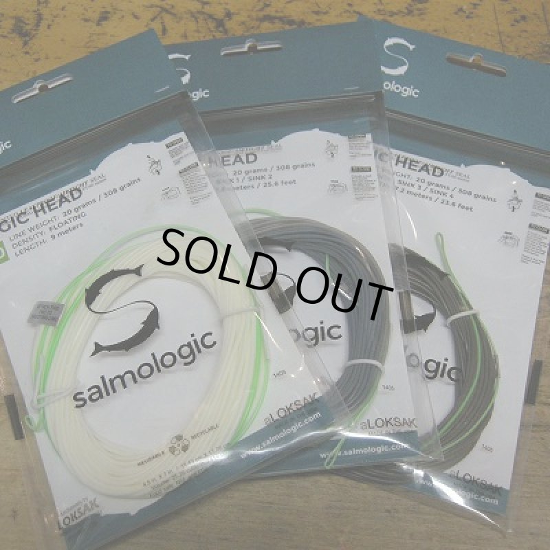 画像1: 【Salmologic】 Logic Head 20g/308grain (SALE) (1)
