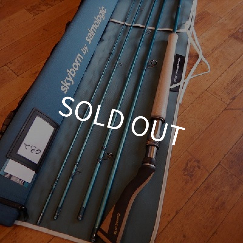 画像1: 【Salmologic】 Skyborn 12'1" 5-pieces  22g/340grain (1)