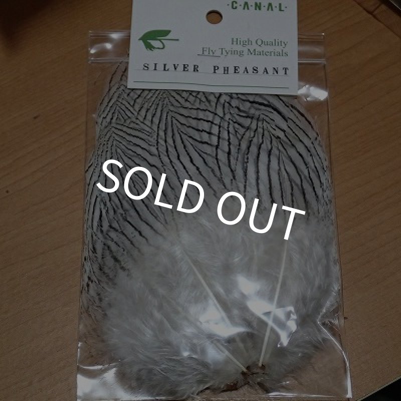 画像1: 【CANAL】Silver Pheasant (1)