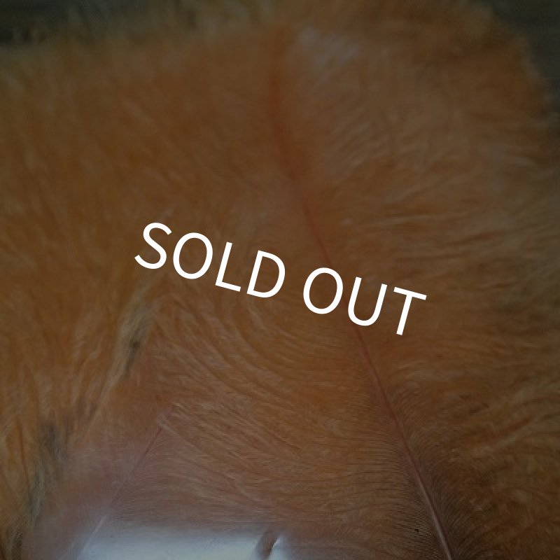 画像4: 【CANAL】Spey Plumes (4)