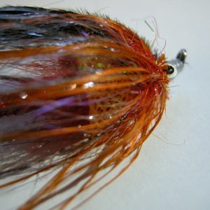 画像4: 【CANAL】 LARGE EAGLE MARABOU