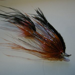 画像3: 【CANAL】 LARGE EAGLE MARABOU