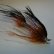 画像3: 【CANAL】 LARGE EAGLE MARABOU (3)