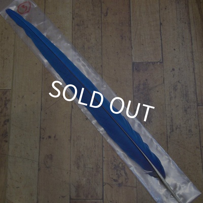 画像1: ブルーイエロー・マコー　テイル No.3 (1)