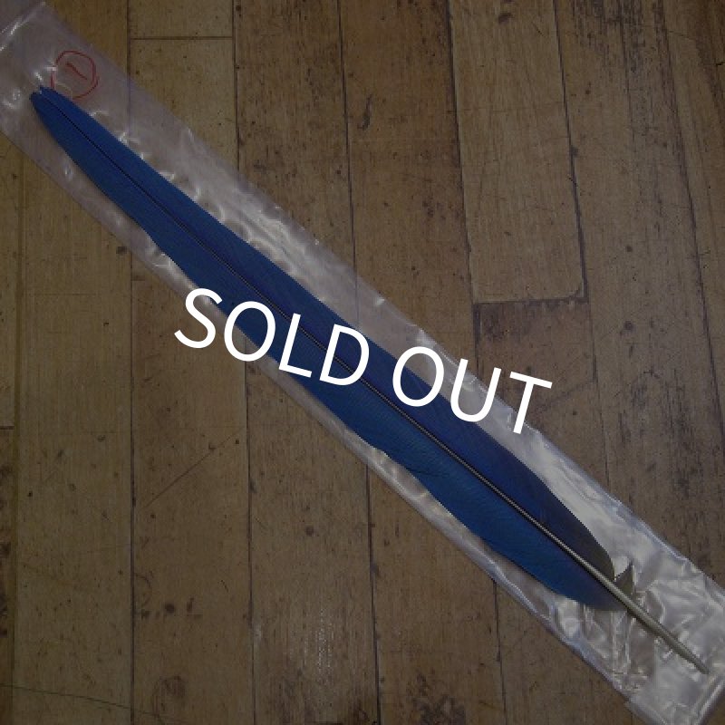 画像1: ブルーイエロー・マコー　テイル No.1 (1)