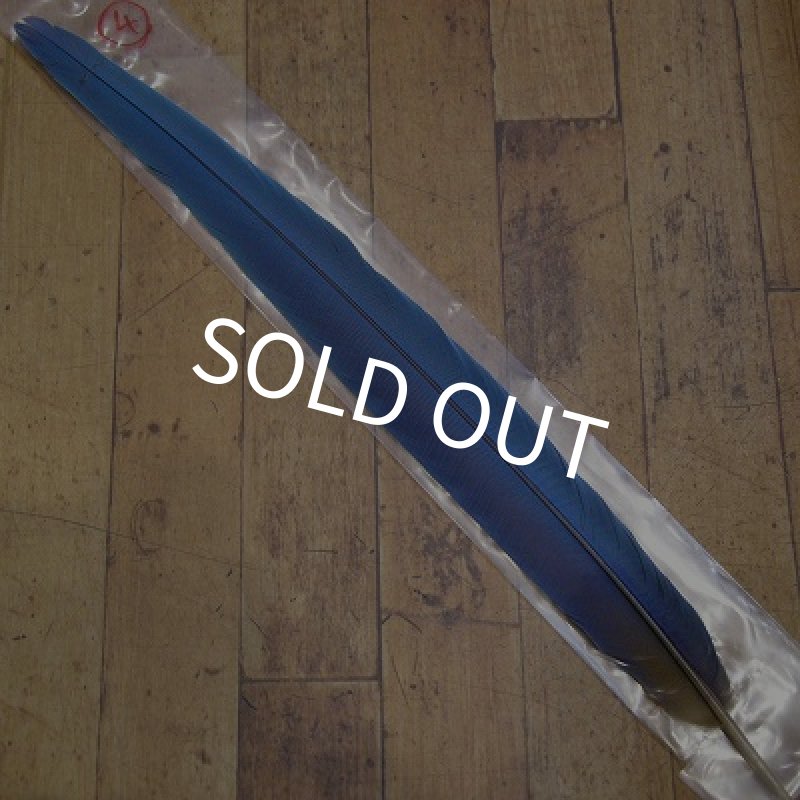 画像1: ブルーイエロー・マコー　テイル No.4 (1)