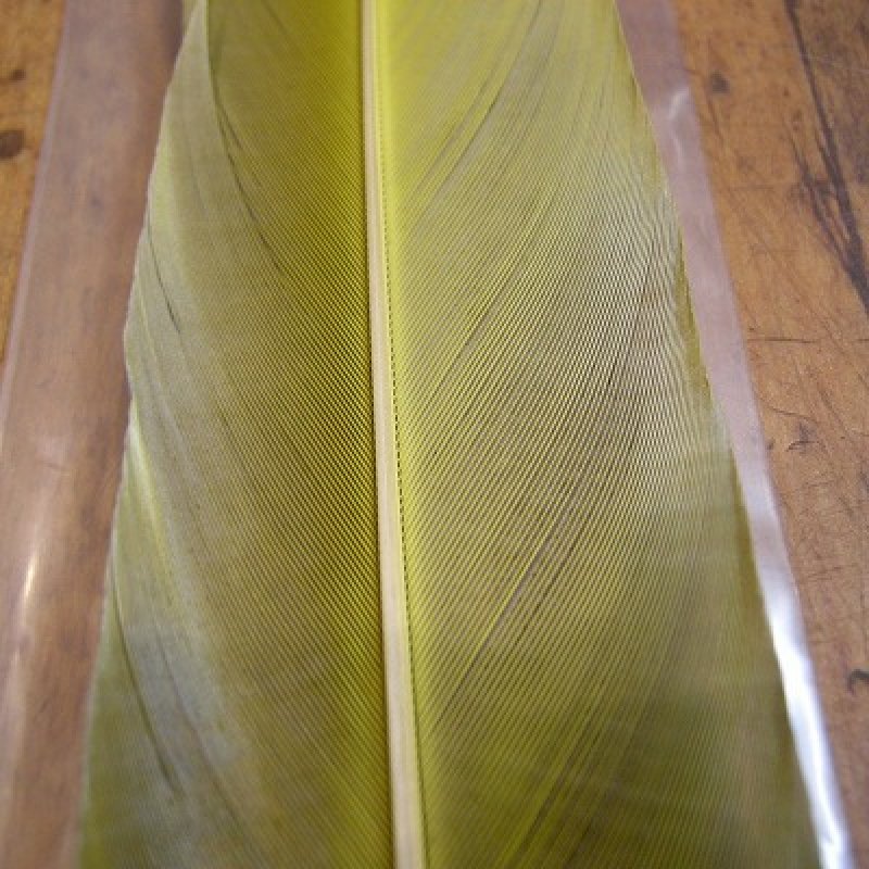 画像2: ブルーイエロー・マコー　テイル No.4