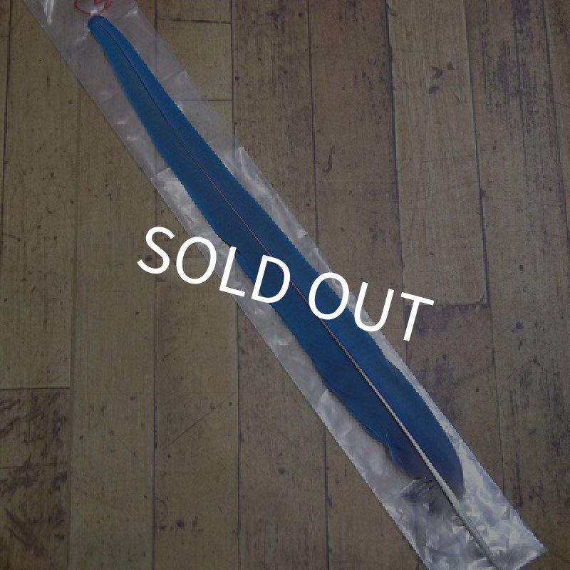 画像1: ブルーイエロー・マコー　テイル No.2 (1)