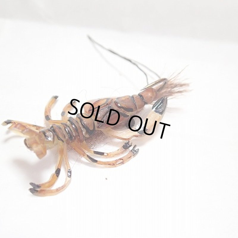 画像2: 【Spirit Riｖer】BUG PARTZ DECEPTIVE CRAY (2)