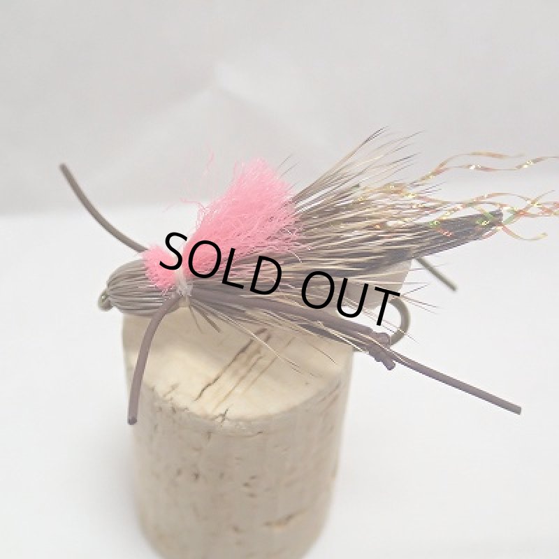 画像2: 【Spirit Riｖer】INDI-HOPPER TAN (2)