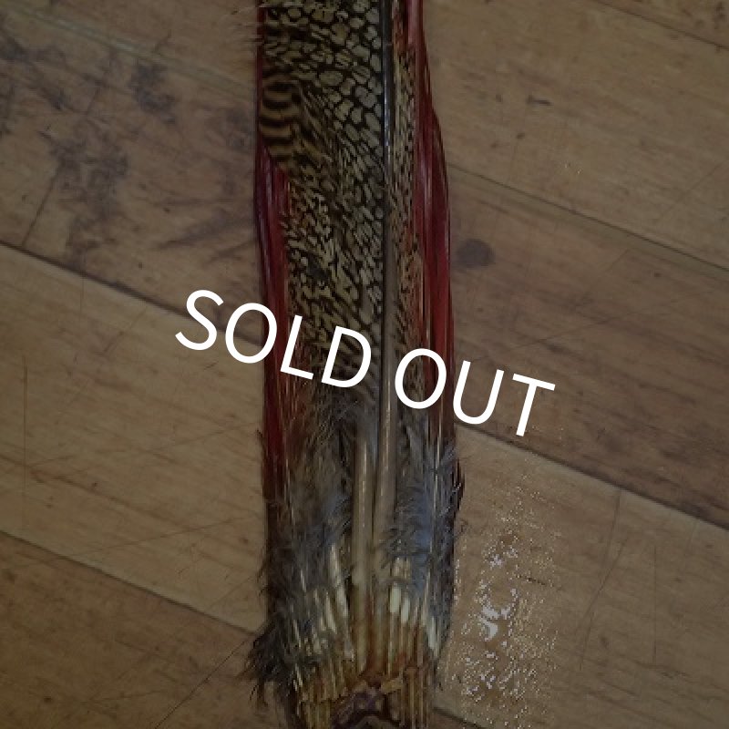 画像2: 【ANGLE】Golden Phesant Complete Tail  (2)