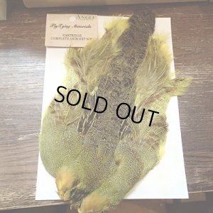 ＹＥ／イエロー