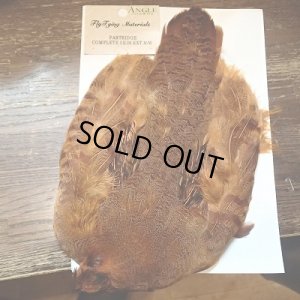 ＢＯＲ／バーントオレンジ