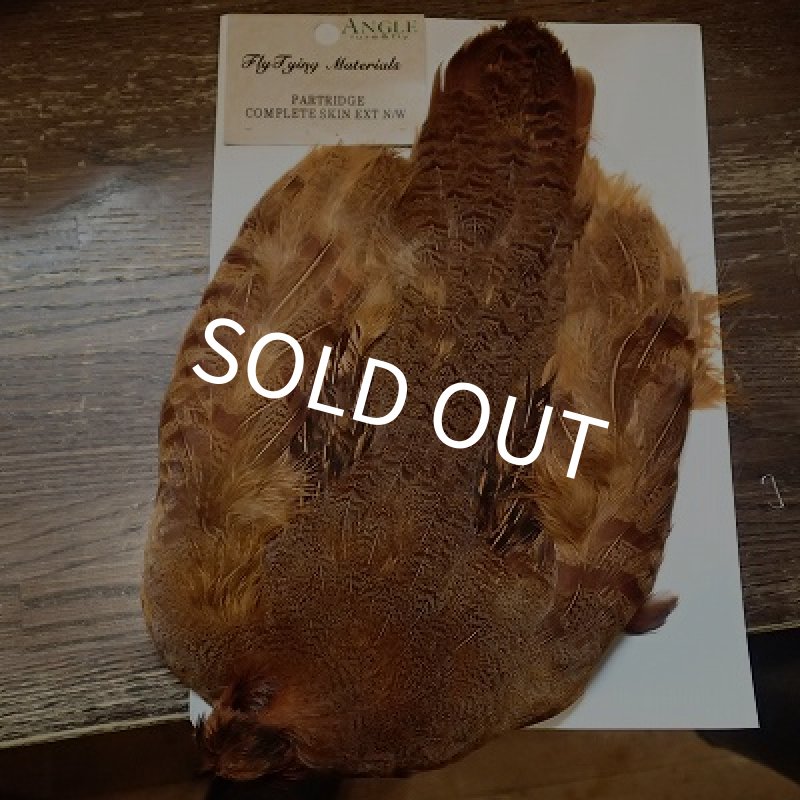 ＢＯＲ／バーントオレンジ