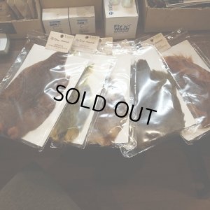 画像1: 【ANGLE】Partridge Complete Skin N/W（No Wing)