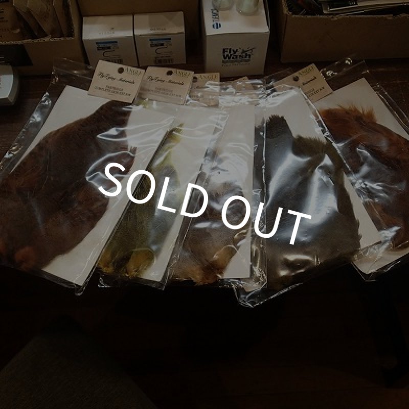 画像1: 【ANGLE】Partridge Complete Skin N/W（No Wing) (1)