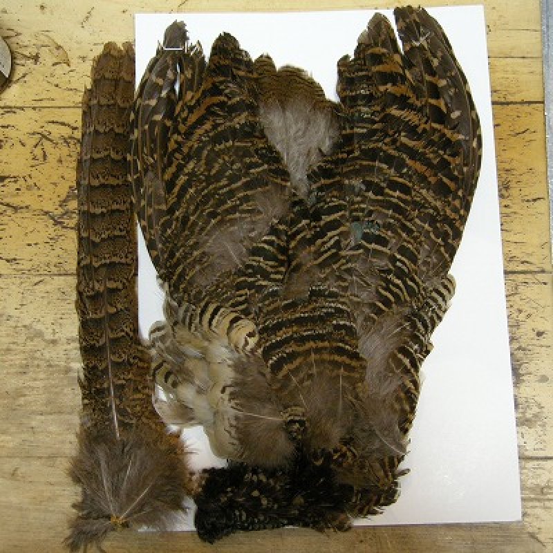 画像1: HEN AMHERST コンプリート (1)