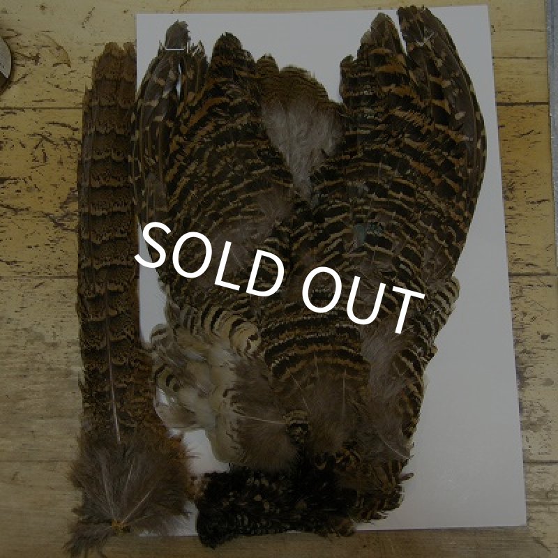 画像1: HEN AMHERST コンプリート (1)