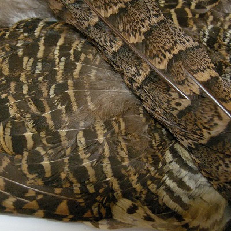 画像3: HEN AMHERST コンプリート