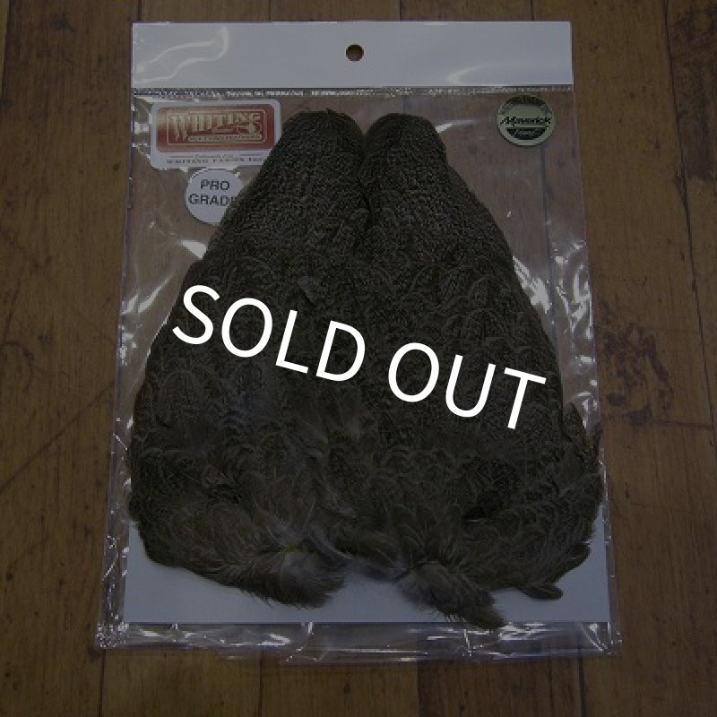 画像1: 【WHITING】 Brahma Hen Wing PRO-GRADE (1)