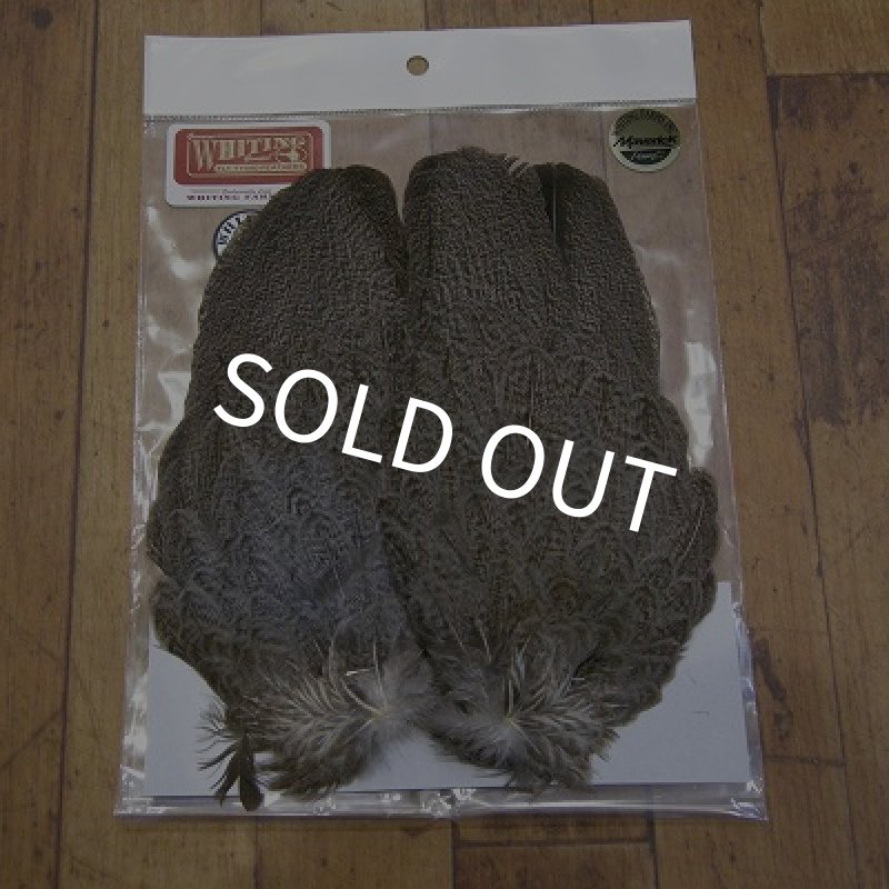 画像1: 【WHITING】 Brahma Hen Wing SILVER GRADE   (1)