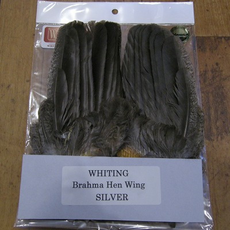 画像3: 【WHITING】 Brahma Hen Wing SILVER GRADE  