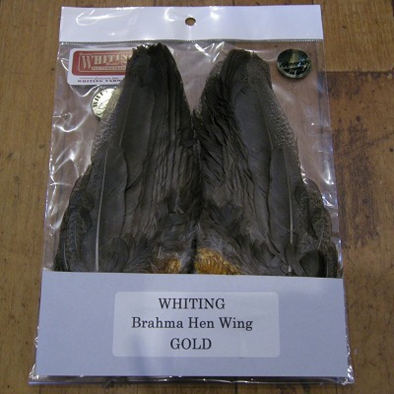 画像3: 【WHITING】 Brahma Hen Wing GOLD GRADE