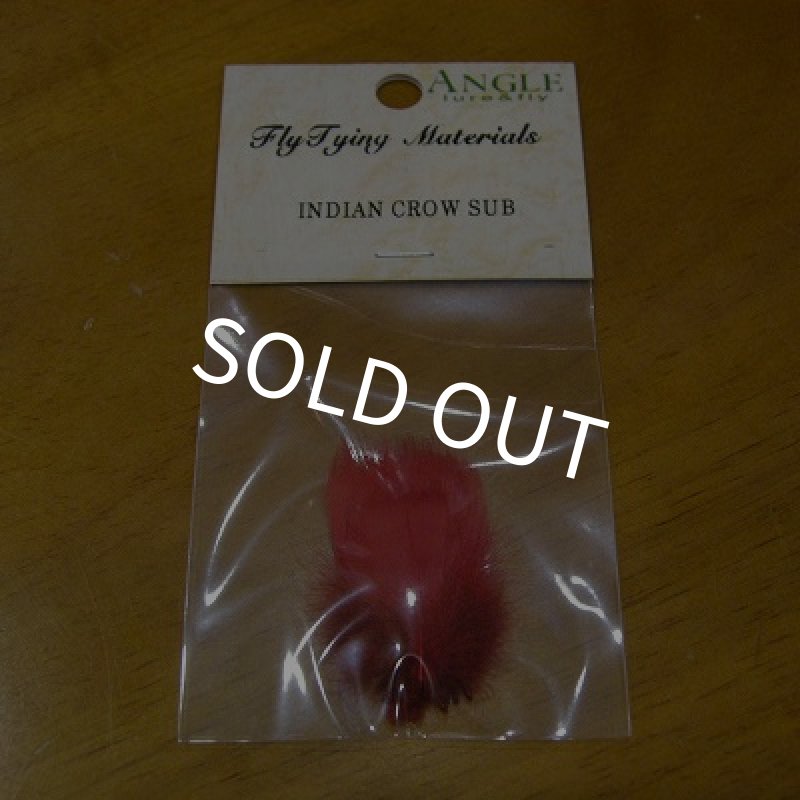 画像1: 【ANGLE】 INDIAN CROW (SUB) (1)