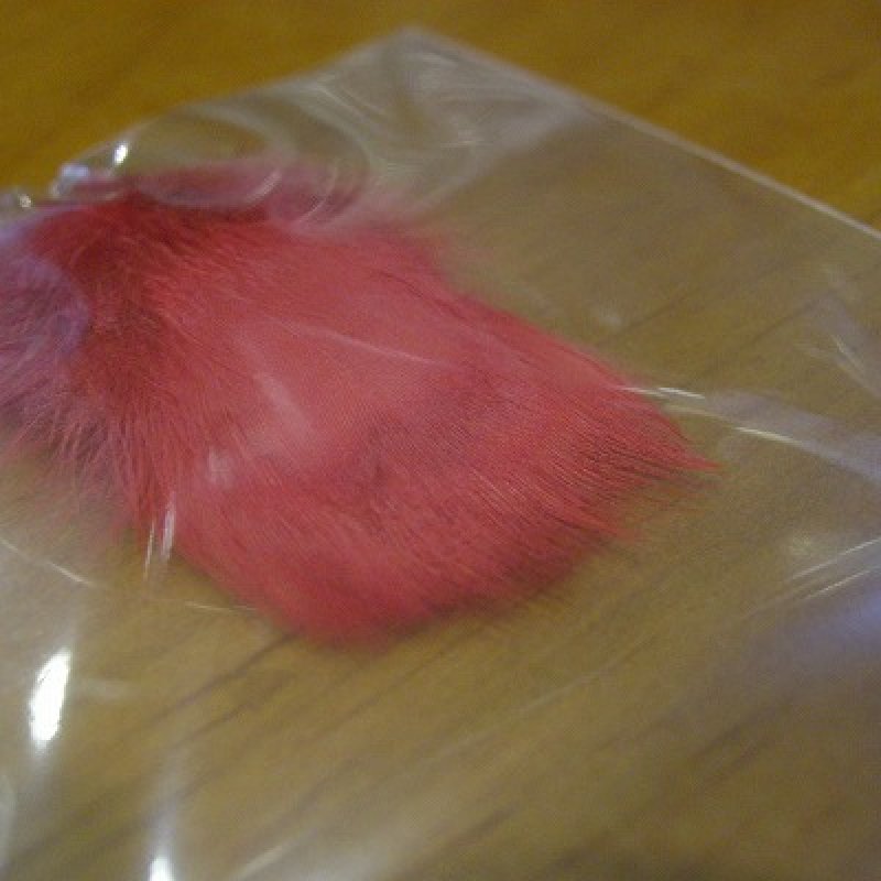 画像1: 【ANGLE】 INDIAN CROW (SUB)