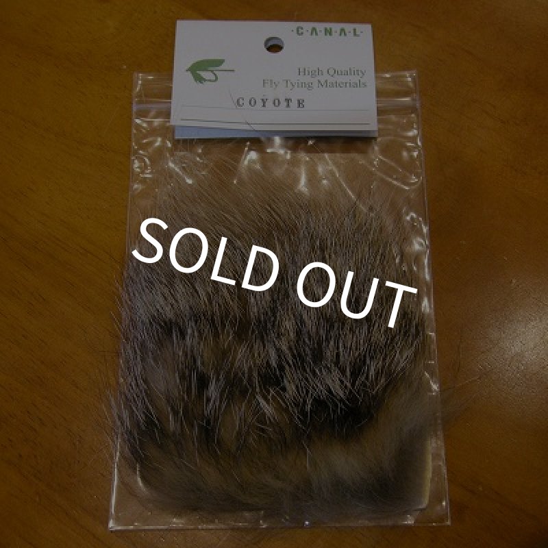 画像1: 【CANAL】 COYOTE ボディパッチ (1)