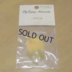 画像1: 【ANGLE】 TOUCAN (SUB)