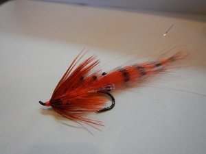 画像2: 【Aqua Flies】 Jon's Motion Prawn