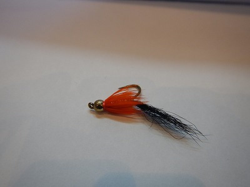 画像1: 【Aqua Flies】 Halloween Comet  