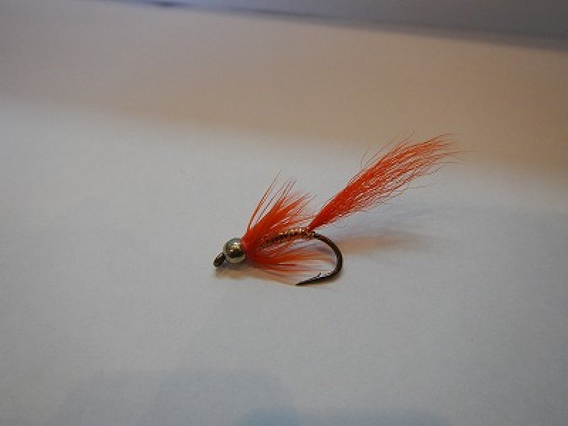 画像1: 【Aqua Flies】 Gold Comet