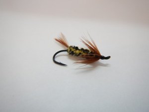 画像1: 【Aqua Flies】 Brindle Yellow/Black