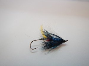 画像1: 【Aqua Flies】 Scorpion Stinger Blue
