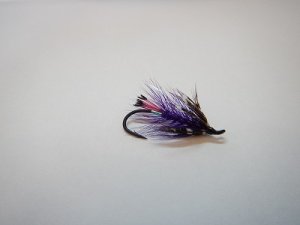 画像1: 【Aqua Flies】 Hartwick's Steelhead Soft Hacle Purple