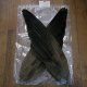 【ANGLE】 Gray Goose Pointers Wing
