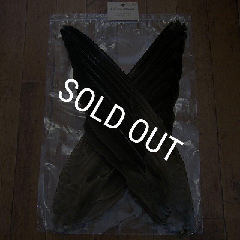画像1: 【ANGLE】 Gray Goose Pointers Wing (1)