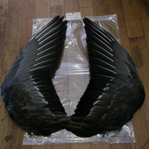 画像2: 【ANGLE】 Gray Goose Complete Wing