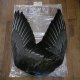 【ANGLE】 Gray Goose Complete Wing