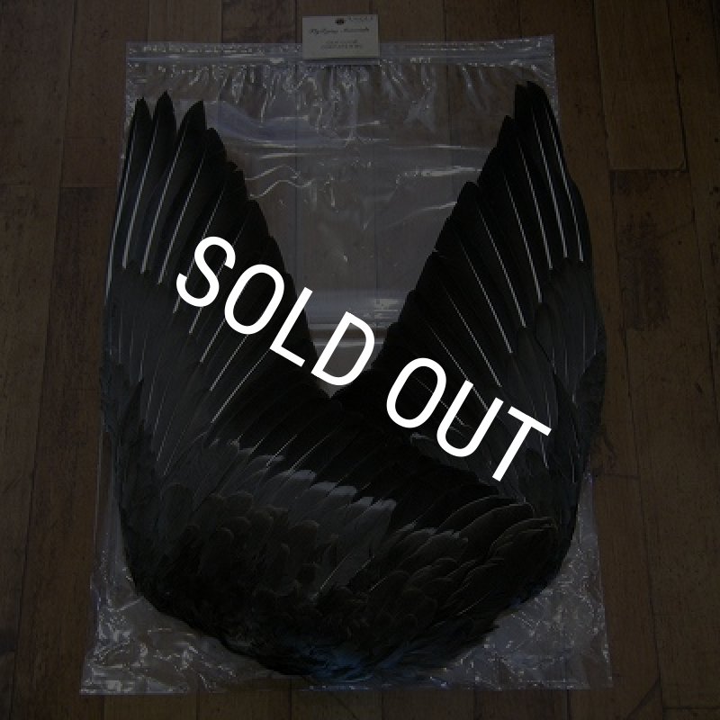 画像1: 【ANGLE】 Gray Goose Complete Wing (1)