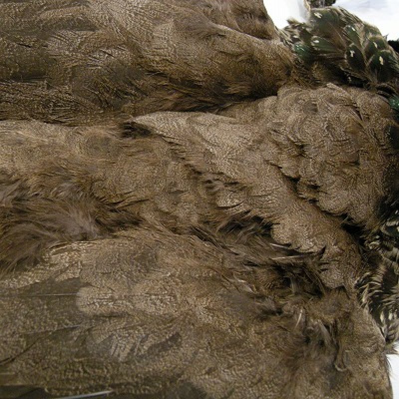 画像2: 【CANAL】 ピーヘン・ヤング コンプリート